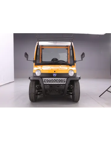 Voiture électrique Sans Permis