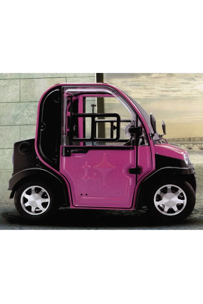 Voiture électrique Sans Permis